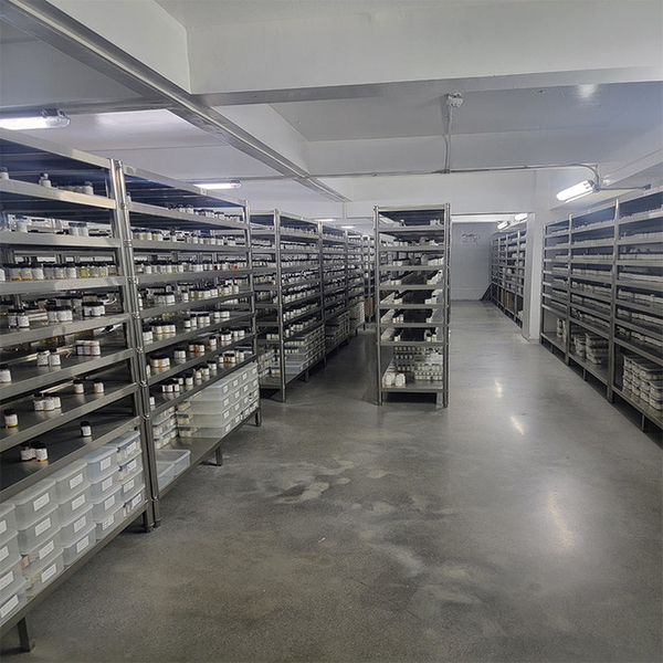 Guangzhou plant fragrance Co., Ltd productielijn van de fabrikant