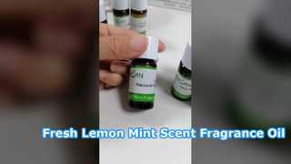 Citroenmuntgeurolie voor frisse huisgeuren