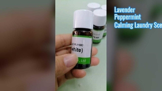 Wasgeurolie Lavendel Pepermunt Essentie