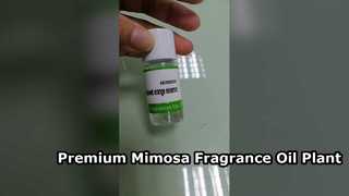 Premium Mimosa-geurolie voor luxe hotel- en huisgeuren