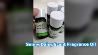 Daisy Geurolie Langdurige huisgeur