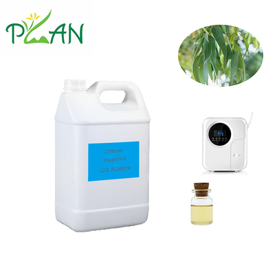 Eukalyptus Diffuser Geuren Puur Natuurlijk Frankrijk Tea Tree Oil Geur