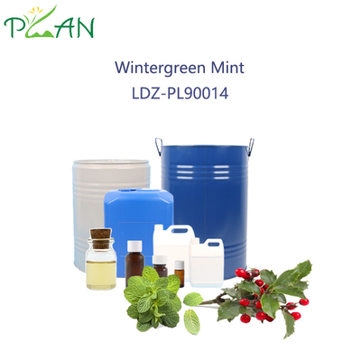 Wintergroene muntgeur voor tandpasta 2,5 liter / fles