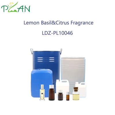 Citroenbasilicum & Citrus Essence voor het maken van parfums van hoge zuiverheid