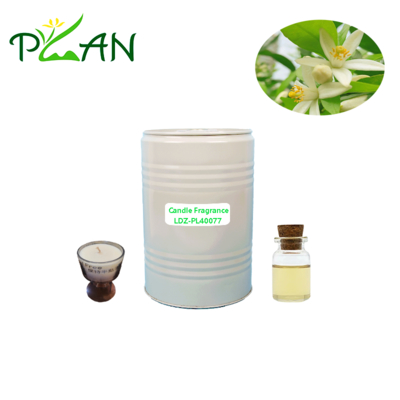 Orange Blossom Essence Candle Geur olieconcentratum - USA gemaakt
