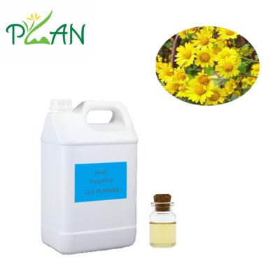 Natuurlijke Wilde Chrysant Essentiële Olie met Diep Complex Aroma voor Kruiden & Functionele Dranken