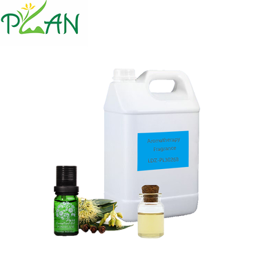 Diffusergeur met gratis monster Rozemarijn- en eucalyptusgeurolie voor rietstokjes en koude geurende kaarsen en diffusergeuren maken/productie