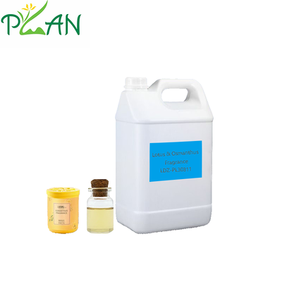 Hotel & Home Diffuser Geur Lotus & Osmanthus Geur Geur Essentie Olie Voor Reed Stick & Koude Geur Kaars & Diffuser Geur maken / Productie Met Gratis Monster